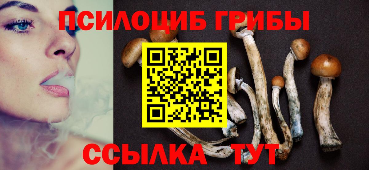 Ангарск  Псилоцибиновые грибы Psilocybe  где можно купить наркотик  Псилоцибиновые грибы Magic Shrooms  Вход с VPN 